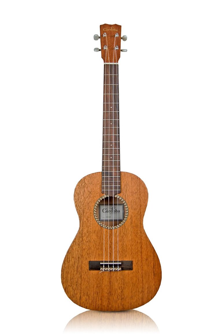 What is the Best Baritone Ukulele? (Reviews2022)