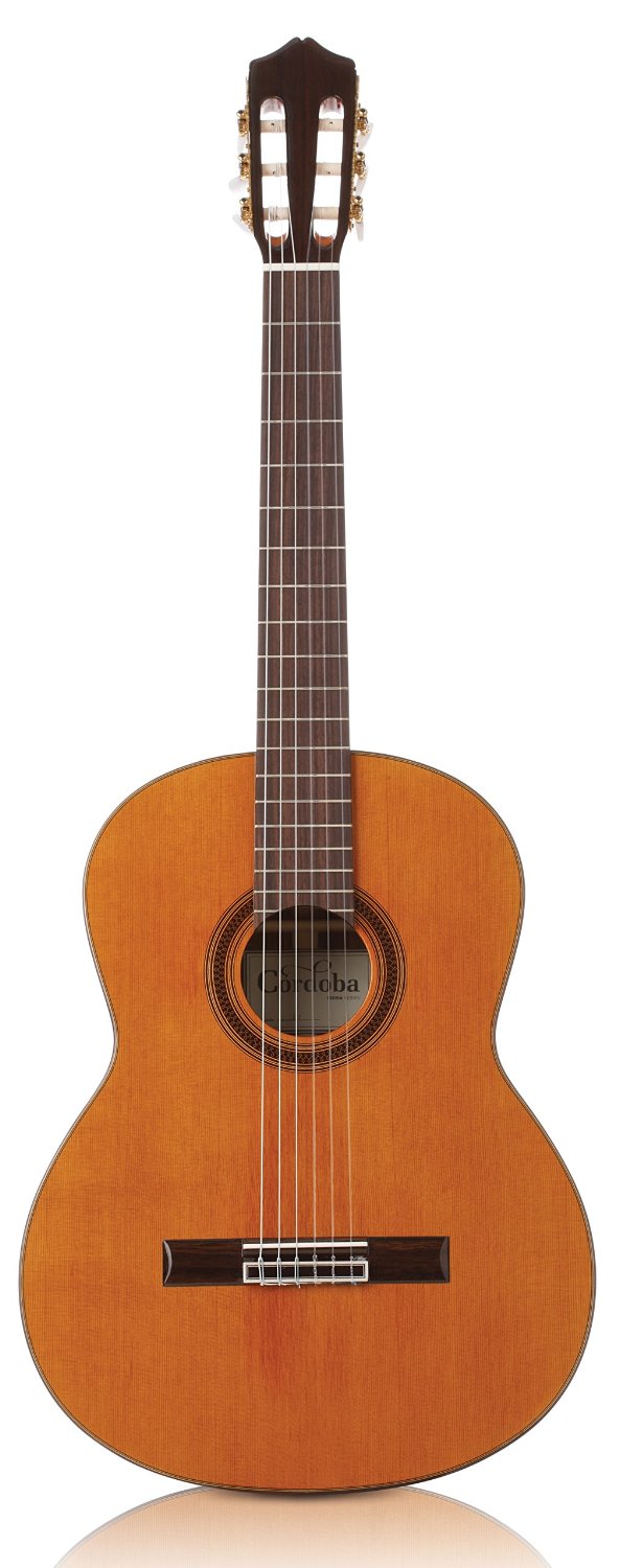 Best Classical Guitar Under 500 (Reviews 2024)
