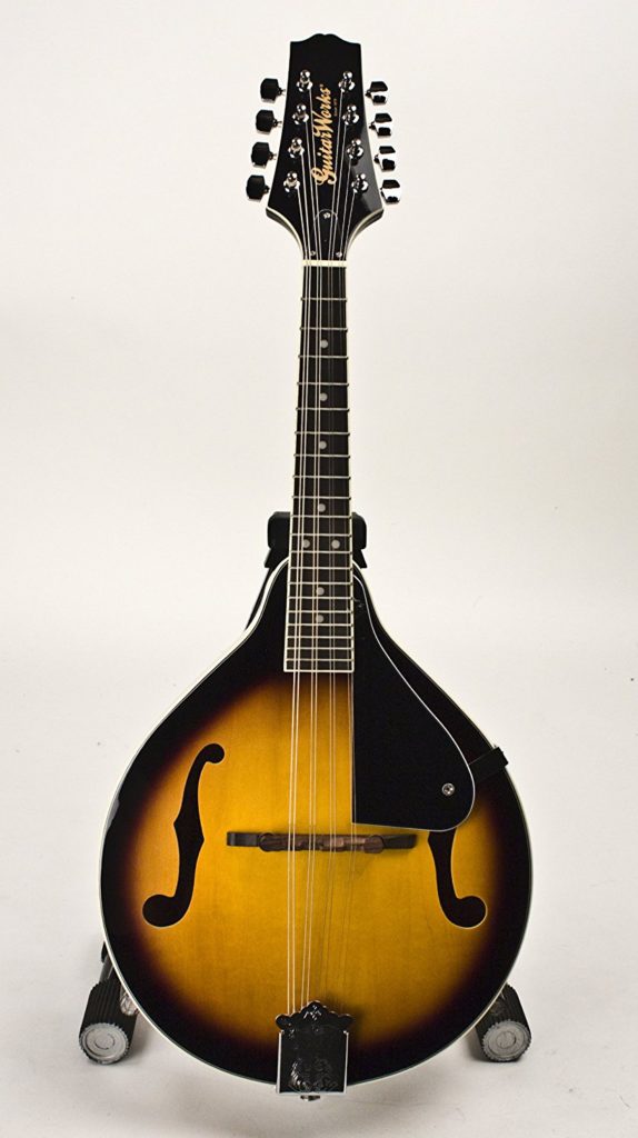 Best Beginner Mandolin (Reviews2022)