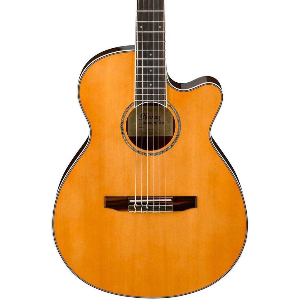 Best Classical Guitar Under 500 (Reviews 2024)