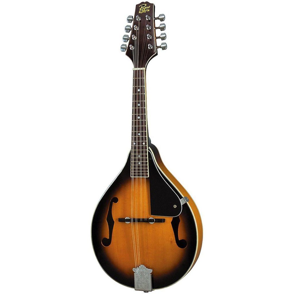 Best Beginner Mandolin (Reviews2022)