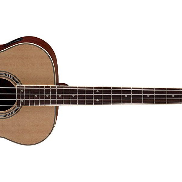 What’s the Best AcousticElectric Bass? (Reviews 2022)