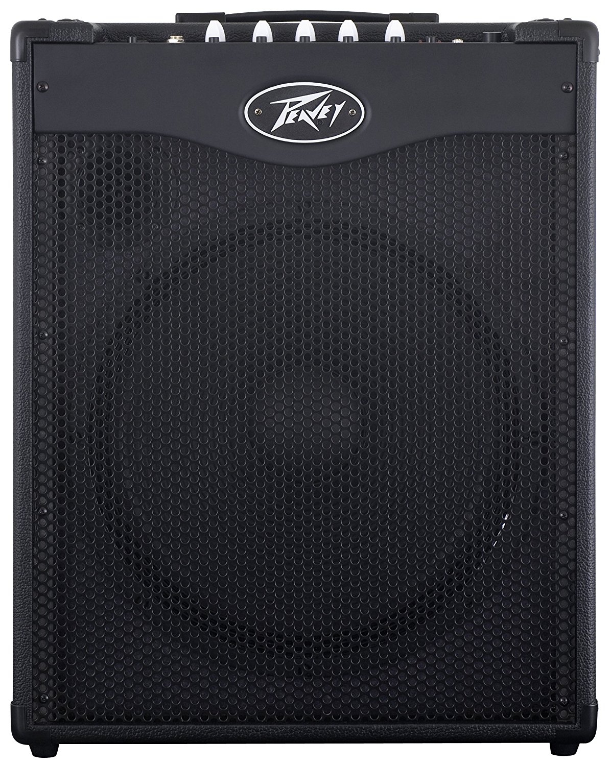 The 14 Best Bass Combo Amps Under 500 (Reviews 2022)