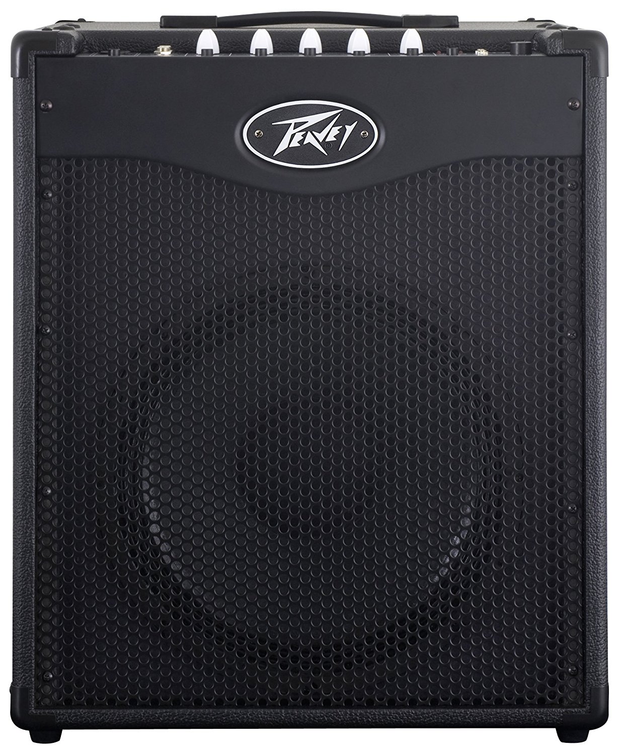 The 14 Best Bass Combo Amps Under 500 (Reviews 2022)