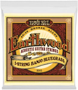 Ernie Ball Earthwood 5-String Banjo Bluegrass Set are the best banjo strings for bluegrass
